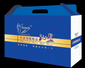 各種衛(wèi)生紙卷紙，衛(wèi)生紙盤紙，擦手紙，等生活用紙