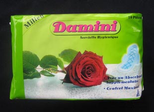 供應(yīng)Damini10片裝衛(wèi)生巾