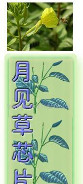 供應(yīng)月見(jiàn)草衛(wèi)生巾芯片