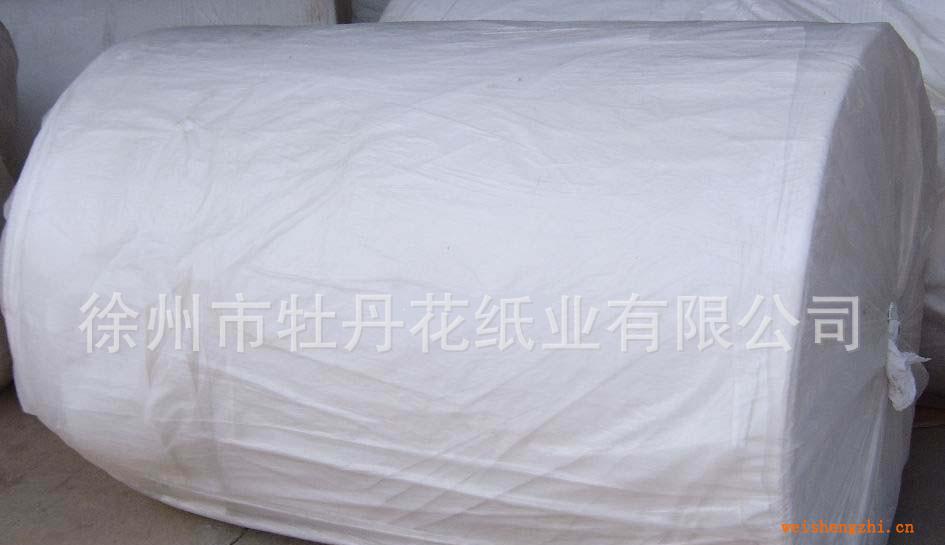 出售優(yōu)質甘蔗漿原紙