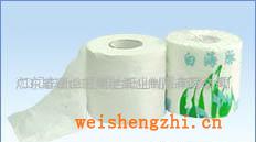 供應(yīng)衛(wèi)生卷紙衛(wèi)生紙廁紙卷筒衛(wèi)生紙